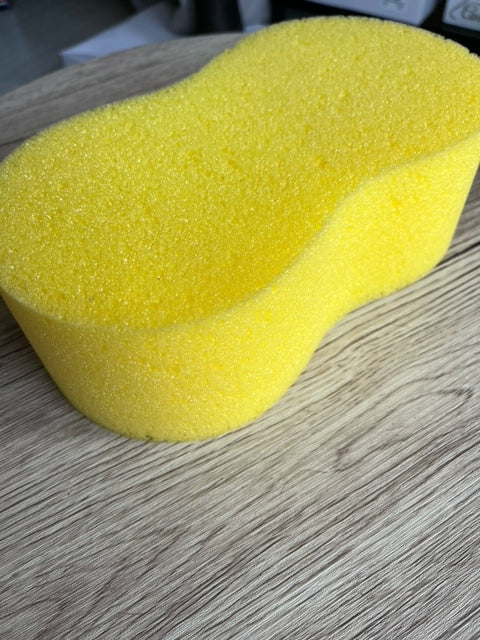 Eventor Sponge